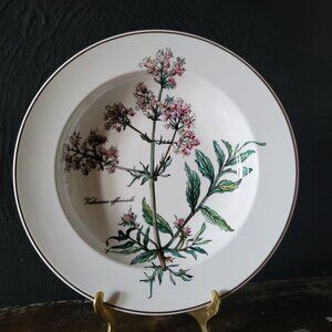 Vintage Villeroy and Boch Botanica Valeriana Officinalis Rimmed Soup Bowl